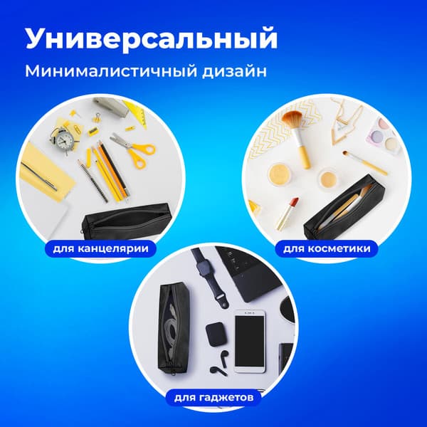 Пенал Пифагор 272255 10