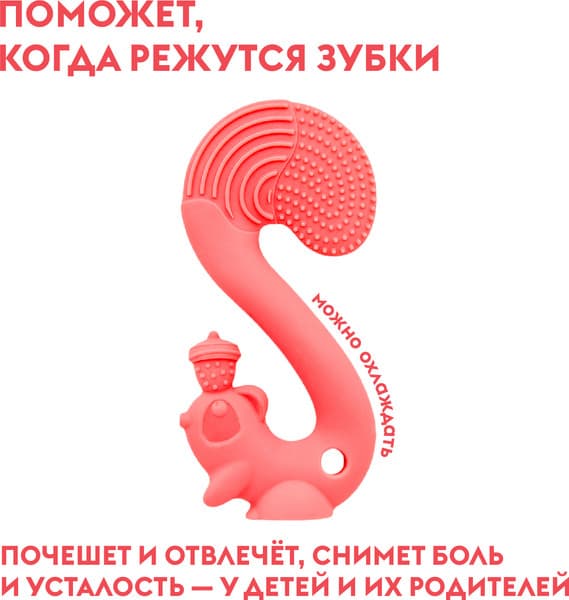 Прорезыватель для зубов Mombella Белка / 8059 2