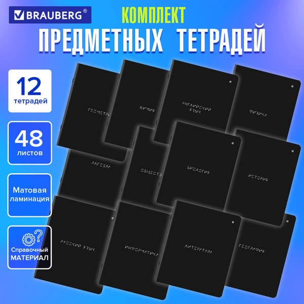 Набор предметных тетрадей Brauberg 404831 2