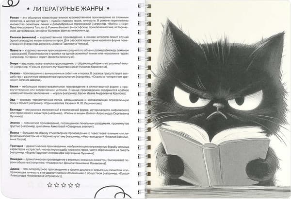 Дневник Феникс+ Читательский. Сердитый чтец / 70539 6