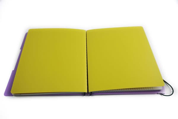 Набор тетрадей Listoff DoubleBook / ТПДБ596159 3