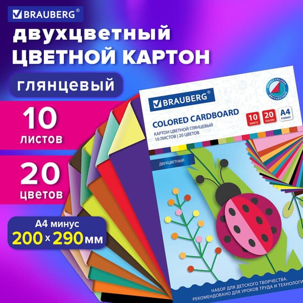 Набор цветного картона Brauberg Мелованный / 113553 2