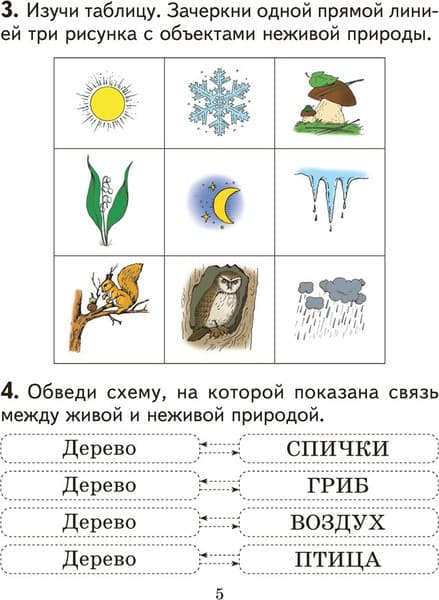 Рабочая тетрадь Аверсэв Человек и мир. 2 класс. Практикум 2025, мягкая обложка 4